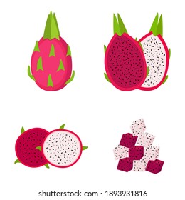 Dragon fruit, whole fruit, half and slices, on white background, vector illustration