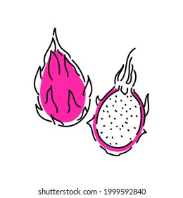 Dragon fruit is whole and half. Summer tropical fruits, flat icon . Sketch of a vector illustration on a white background.