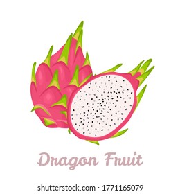 Drachenfrucht, ganz und halb. Vektorgrafik von Pitahaya im Cartoon-Stil.