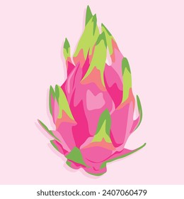 Dragon fruit whole with peel. Realistic vector image of tropical fruits.