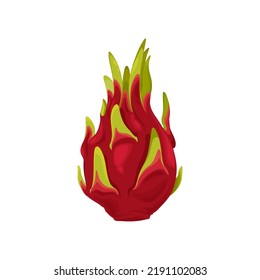 Dragon fruit whole pitaya isolated realistic tropical food dessert. Vector pithaya, exotic tropical dragonfruit cosmetics ingredient. Ripe pitahaya, juicy fruit, vegetarian food, grocery product