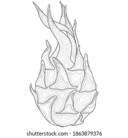 
Dragon fruit.Coloring book antistress for children and adults. Illustration isolated on white background.Zen-tangle style.