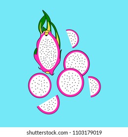 Dragon fruits on blue background. Half dragon fruit and pieces. Vector flat cartoon illustration