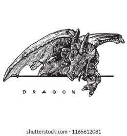 Dragon head and folded wings. Mythical fantasy symbol image.Vector black and white graphic illustration in vintage engraving style. 