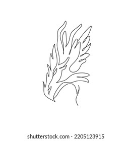 Dragon line on the white background