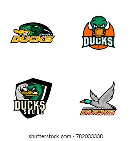 Dragon Logo Design Vector