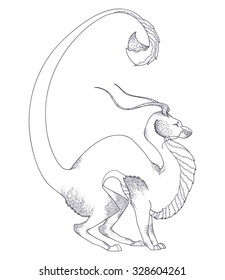 Dragon on a white background.