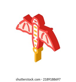 dragon shape kite isometric icon vector. dragon shape kite sign. isolated symbol illustration
