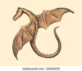 Dragon, sketch style illustration