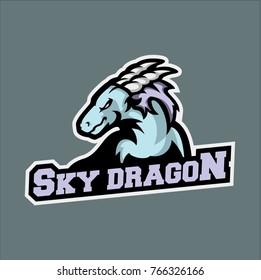 Dragon sports team logo, Dragon vector illustration