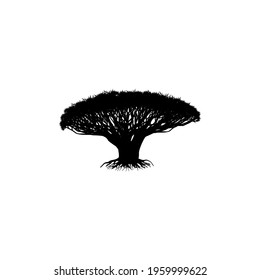 Dragon tree icon, vector illustration eps 10.