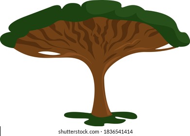 Dragon tree, illustration, vector on white background
