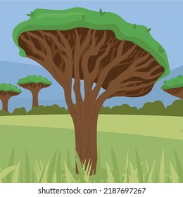 Dragon tree, nature, illustration, vector