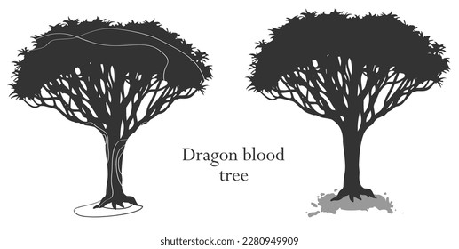 Silueta de árbol dragón para su diseño, ilustración vectorial, objeto aislado	