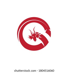 Plantilla de logotipo de diseño de ilustración de icono del vector Dragon