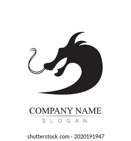 Dragon vector icon illustration design logo template