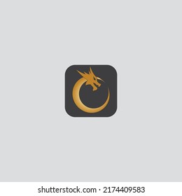 Dragon vector icon illustration design logo template