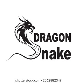 Dragon vector icon illustration design logo template