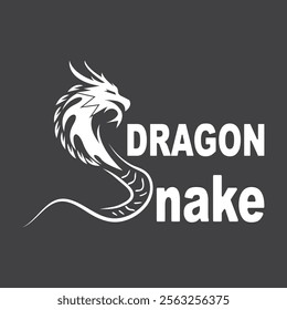 Dragon vector icon illustration design logo template
