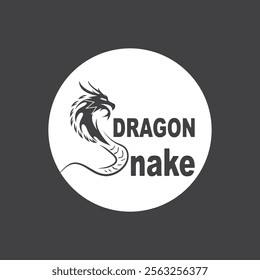 Dragon vector icon illustration design logo template