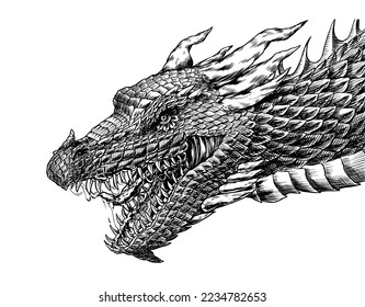 Dragon in Vintage style. Mythological animal or traditional reptile. Symbol for tattoo or label. Engraved hand drawn line art old monochrome sketch, ink. Vector illustration. 