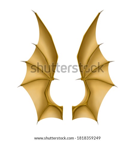 Dragon wings isolated on white background, EPS 10.