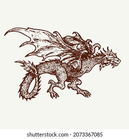 Dragon wyvern type, hand drawn doodle sketch, ink drawing illustration