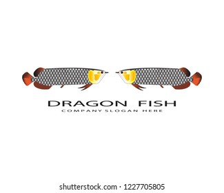 Dragon,fish Logo Template vector icon illustration design
