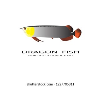 Dragon,fish Logo Template vector icon illustration design