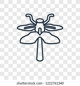 Dragonflay concept vector linear icon isolated on transparent background, Dragonflay concept transparency concept in outline style