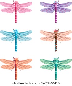 Dragonflies - 5 multi-coloured vector illustration