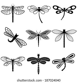 Dragonflies, black silhouettes on white background. Vector