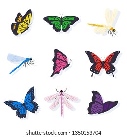 Dragonflies and butterflies illustrations set. Insects with bright color wings vector clipart. Isolated design elements for scrapbook, postcard. Entomology collection. Summer, spring. Wildlife, nature