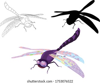 Dragonflies. Set in various formats - silhouette, contour and colorful on a white background.