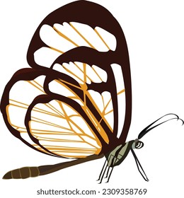 Dragonflies or sibar-sibar are a group of insects that belong to the Odonata nation. These two types of insects are seldom far from water, where they lay their eggs and spend their pre-adult young.

