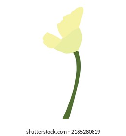 dragonflies, snails or snails and yellow flowers