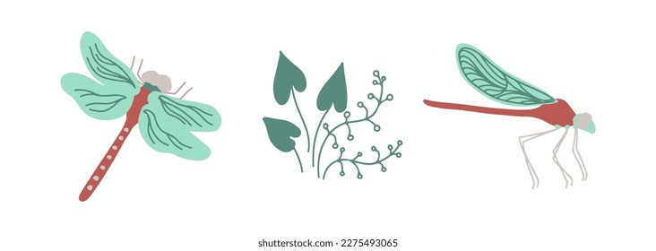 Dragonflies top view and side view with wetland plants isoalted on white background. Hand drawn vector illustration.