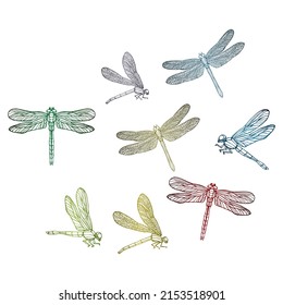 Dragonflies Vector Illustration Set Hand Drawn Stock Vector (Royalty ...