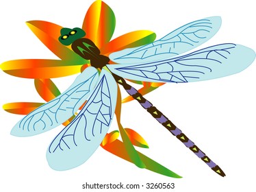 dragonfly