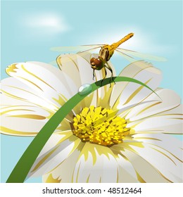 dragonfly