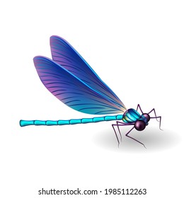 Dragonfly. 3D insect. Vector illustration isolated on white background.