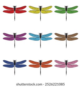 Dragonfly 9 ilustração de vetor de conjunto de cores 