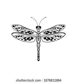 Dragonfly abstract pattern for design. Black and white line sketch on white background. Tattoo style. Vector illustration