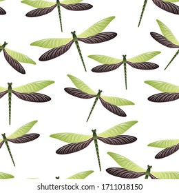 Dragonfly abstract seamless pattern. Spring clothes fabric print with damselfly insects. Isolated water dragonfly vector illustration. Wildlife beings seamless. Damselfly bugs.