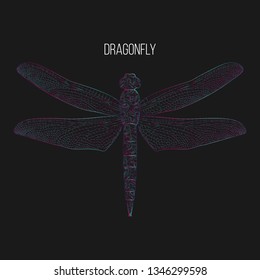 Dragonfly abstract vector illustration.