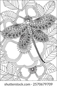 Dragonfly adult coloring page line art vector