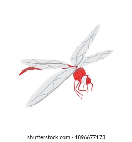 Drachenfliege für Tiervektorgrafik