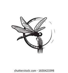 The dragonfly.Can be used as a sketch of a tattoo.
