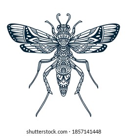 dragonfly beetle doodle vector illustration