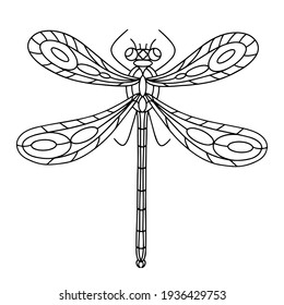 Dragonfly Beetle-Insect coloring book. Dragonfly linear vector illustration. Anti-stress coloring book for adults and children